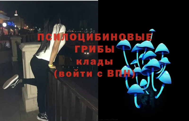 где купить   Муравленко  Галлюциногенные грибы Magic Shrooms 